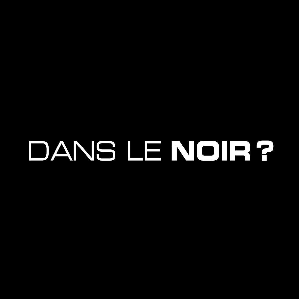 logo Dans le Noir ?