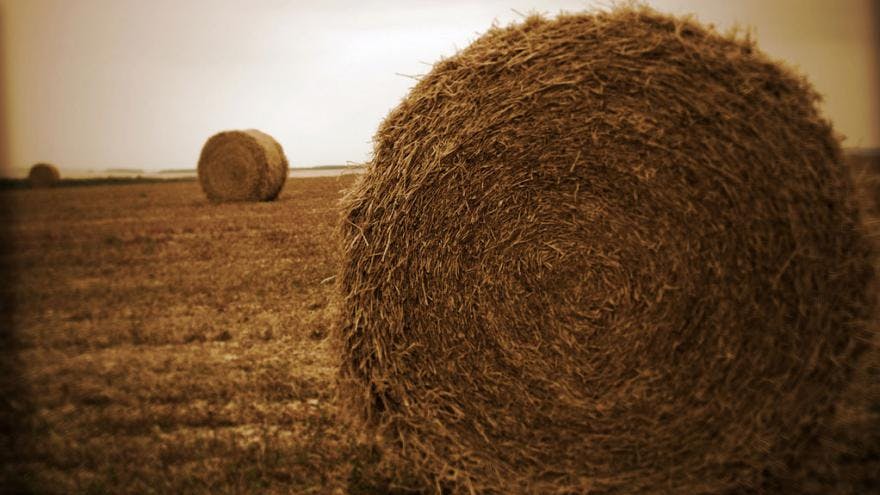 Au secours, je l'ai perdu...