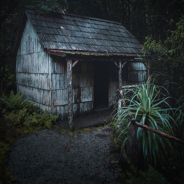 The Alchimist's Cabin