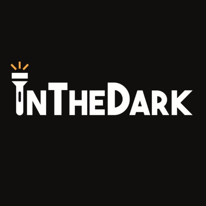 logo de InTheDark