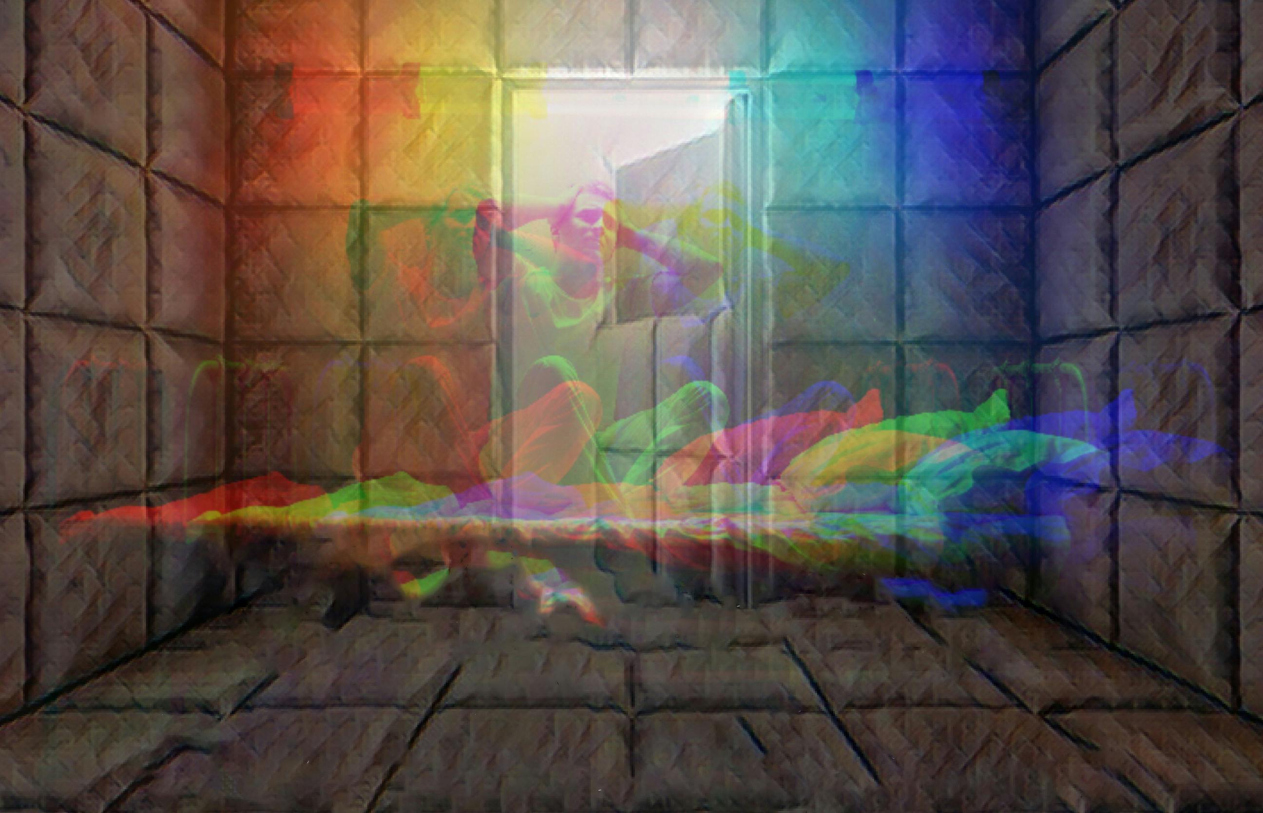 MElbourne iNstituTional AsyLum