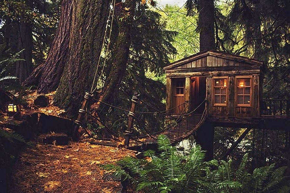 Mystery of an old man