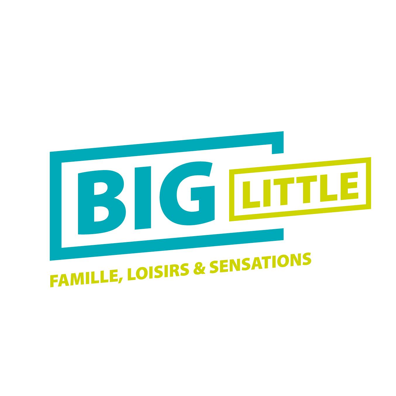 logo Big Little