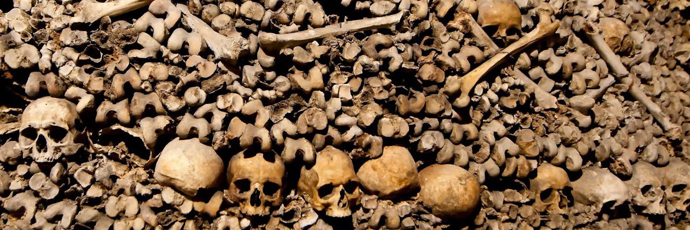 Les catacombes de Paris - The Dark Dreams