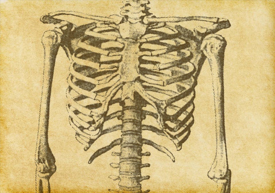 La fille du docteur Clément