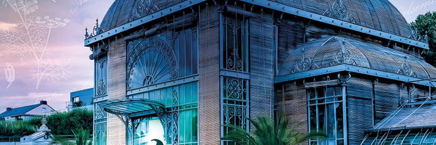 L'élixir de l'alchimiste - Studio Guimauve