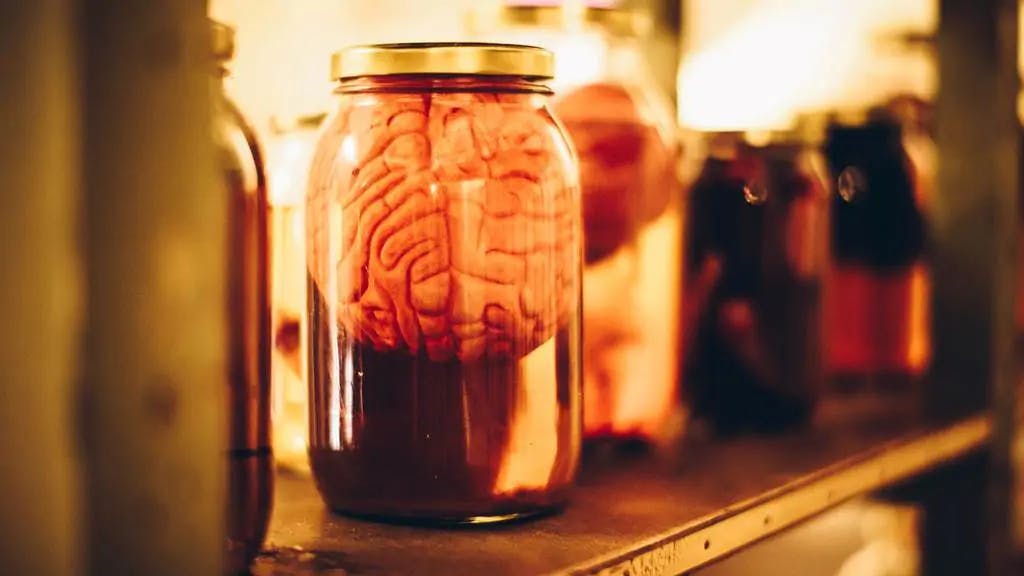 Frankenstein’s Legacy