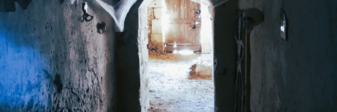 Les couloirs du Temps - Chateau de Gizeux