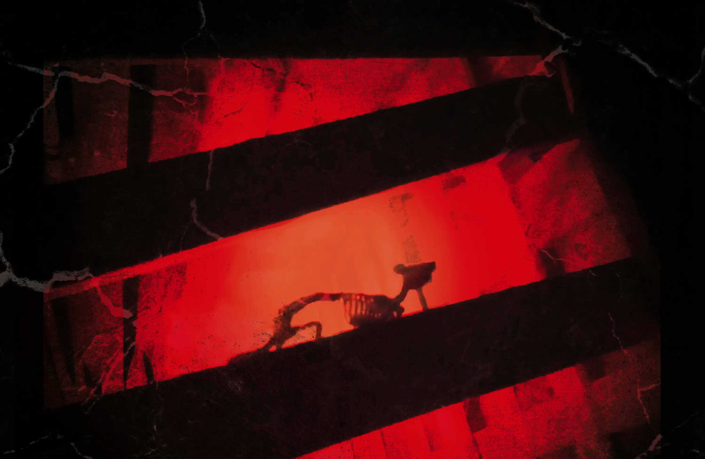 Lost in the Darkness : les survivants