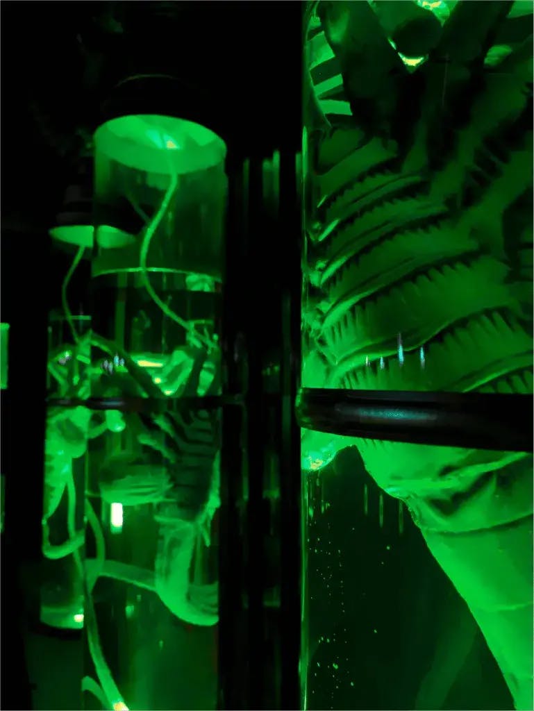 Area 51 : district interdit