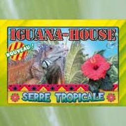 Iguana House