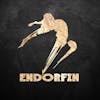 logo de Endorfin